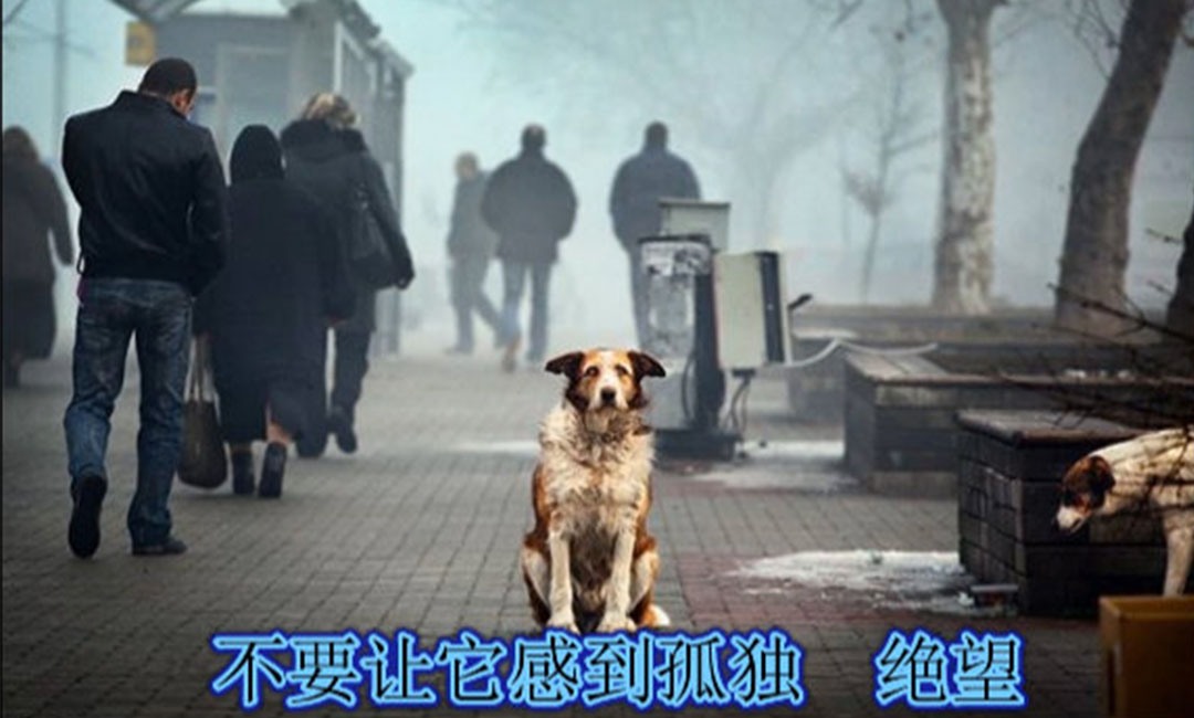 保亭保亭爱影圈微博微信转发案例